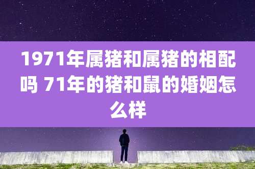 1971年属猪和属猪的相配吗 71年的猪和鼠的婚姻怎么样