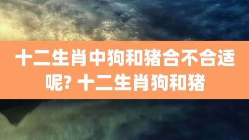 十二生肖中狗和猪合不合适呢? 十二生肖狗和猪