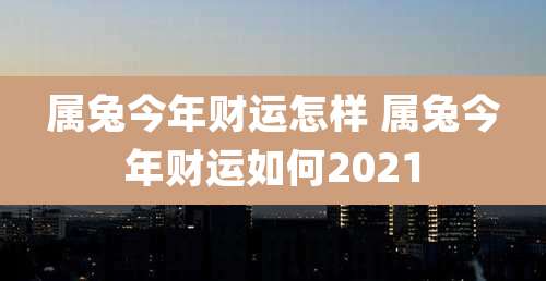 属兔今年财运怎样 属兔今年财运如何2021