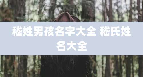 嵇姓男孩名字大全 嵇氏姓名大全