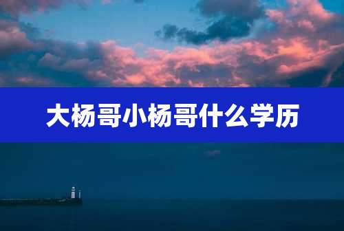 大杨哥小杨哥什么学历