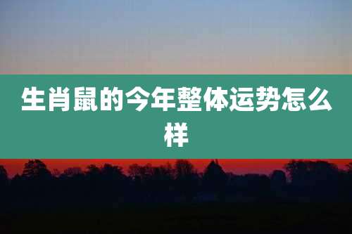 生肖鼠的今年整体运势怎么样