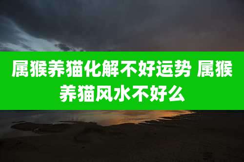属猴养猫化解不好运势 属猴养猫风水不好么