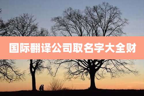 国际翻译公司取名字大全财