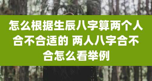 怎么根据生辰八字算两个人合不合适的 两人八字合不合怎么看举例