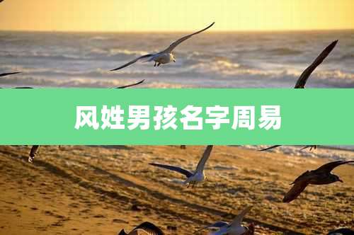 风姓男孩名字周易