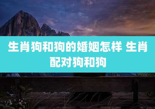 生肖狗和狗的婚姻怎样 生肖配对狗和狗