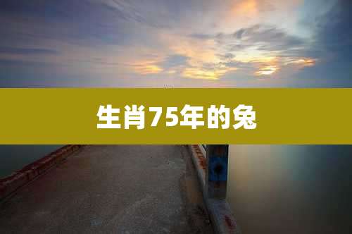 生肖75年的兔