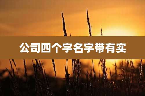 公司四个字名字带有实