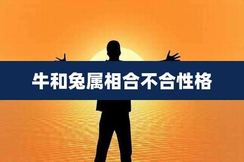牛和兔属相合不合性格