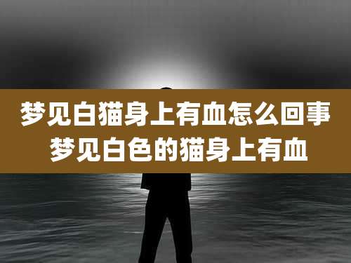 梦见白猫身上有血怎么回事 梦见白色的猫身上有血