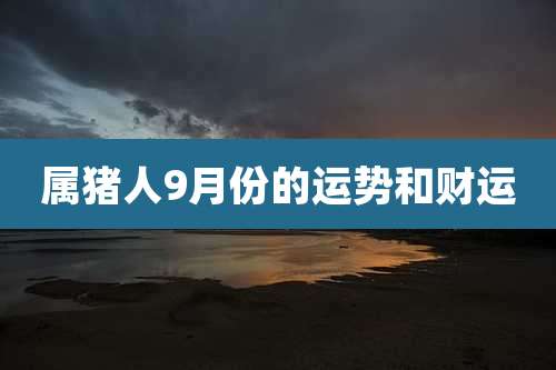 属猪人9月份的运势和财运