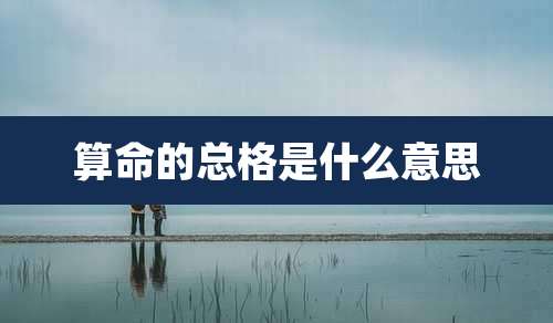 算命的总格是什么意思