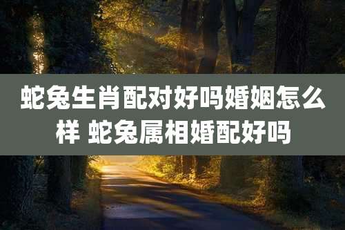 蛇兔生肖配对好吗婚姻怎么样 蛇兔属相婚配好吗