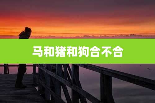 马和猪和狗合不合