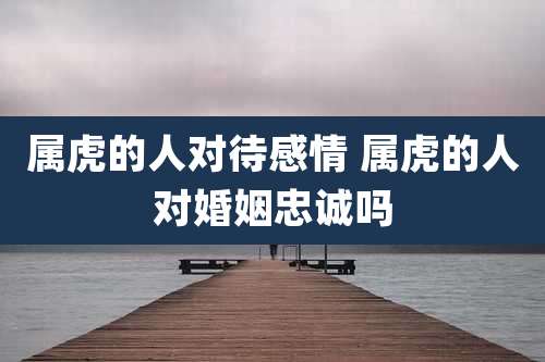属虎的人对待感情 属虎的人对婚姻忠诚吗
