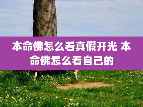 本命佛怎么看真假开光 本命佛怎么看自己的