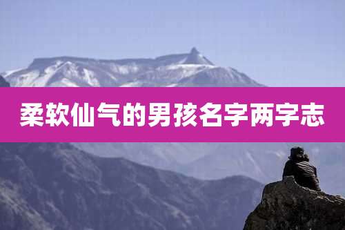 柔软仙气的男孩名字两字志