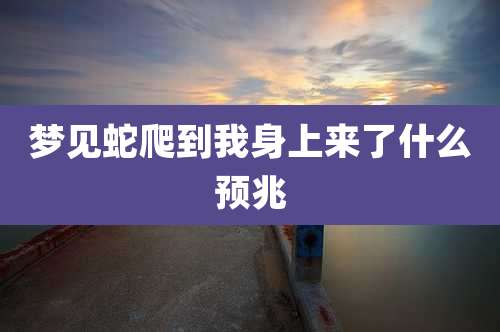 梦见蛇爬到我身上来了什么预兆