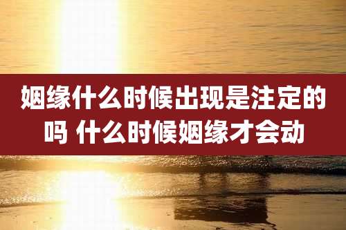 姻缘什么时候出现是注定的吗 什么时候姻缘才会动