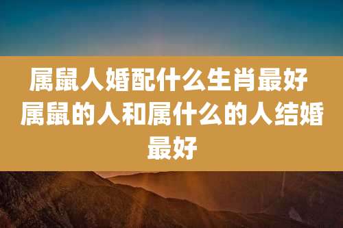 属鼠人婚配什么生肖最好 属鼠的人和属什么的人结婚最好