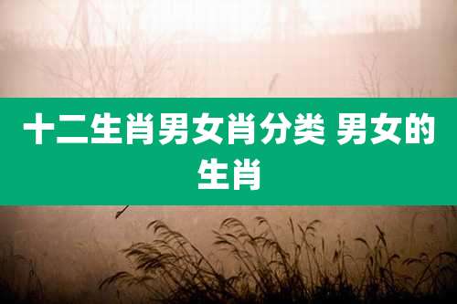 十二生肖男女肖分类 男女的生肖