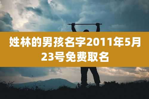 姓林的男孩名字2011年5月23号免费取名