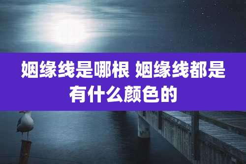 姻缘线是哪根 姻缘线都是有什么颜色的