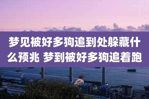 梦见被好多狗追到处躲藏什么预兆 梦到被好多狗追着跑