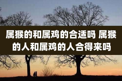 属猴的和属鸡的合适吗 属猴的人和属鸡的人合得来吗