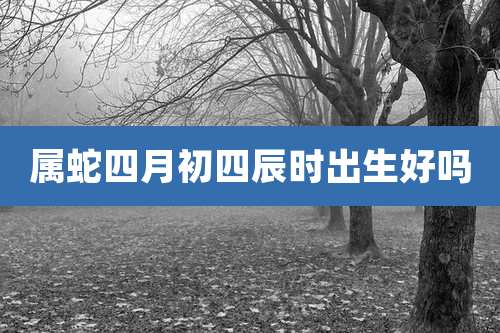 属蛇四月初四辰时出生好吗