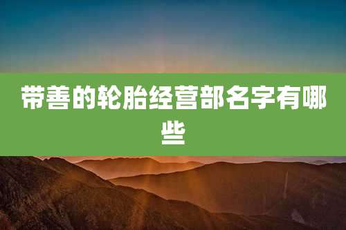 带善的轮胎经营部名字有哪些
