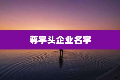 尊字头企业名字