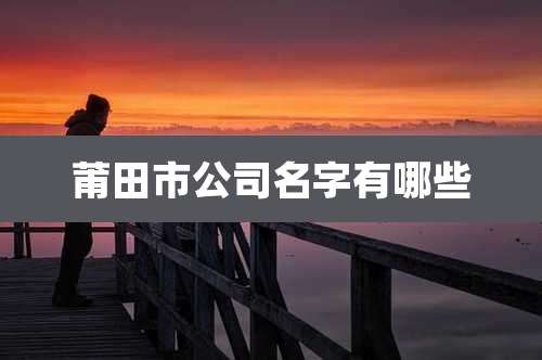 莆田市公司名字有哪些