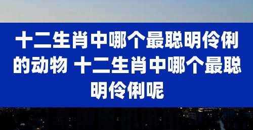 十二生肖中哪个最聪明伶俐的动物 十二生肖中哪个最聪明伶俐呢