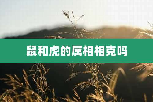 鼠和虎的属相相克吗