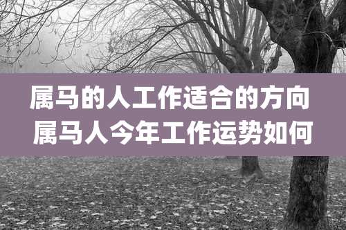 属马的人工作适合的方向 属马人今年工作运势如何