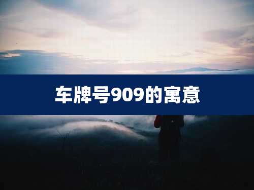 车牌号909的寓意