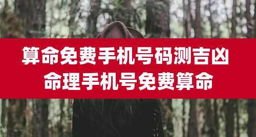 算命免费手机号码测吉凶 命理手机号免费算命