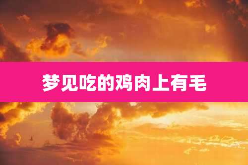 梦见吃的鸡肉上有毛