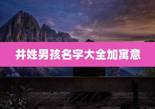井姓男孩名字大全加寓意