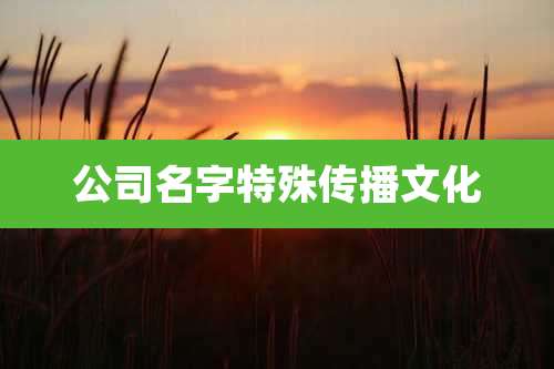 公司名字特殊传播文化