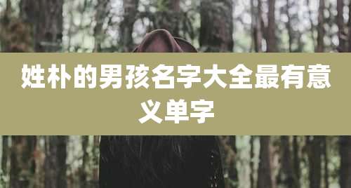 姓朴的男孩名字大全最有意义单字