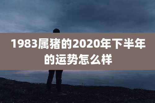 1983属猪的2020年下半年的运势怎么样