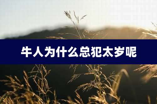 牛人为什么总犯太岁呢