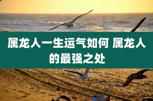 属龙人一生运气如何 属龙人的最强之处