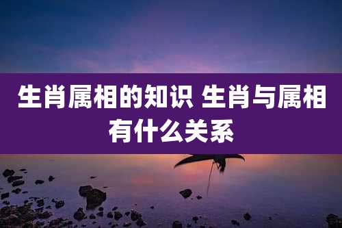 生肖属相的知识 生肖与属相有什么关系
