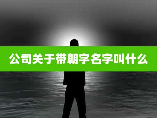 公司关于带朝字名字叫什么