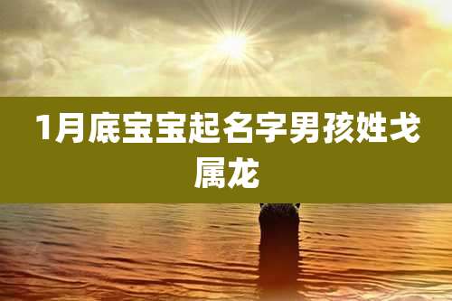 1月底宝宝起名字男孩姓戈属龙