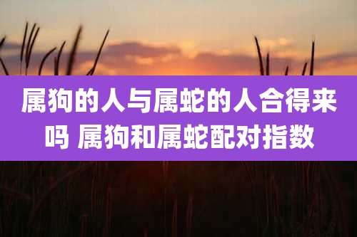 属狗的人与属蛇的人合得来吗 属狗和属蛇配对指数